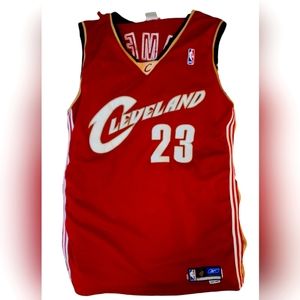 03-04 LeBron James authentic game issue pro cut rookie jersey